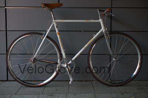 Casati Gold Line fiche technique et avis